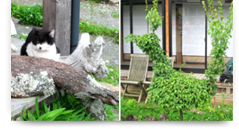分杭峠